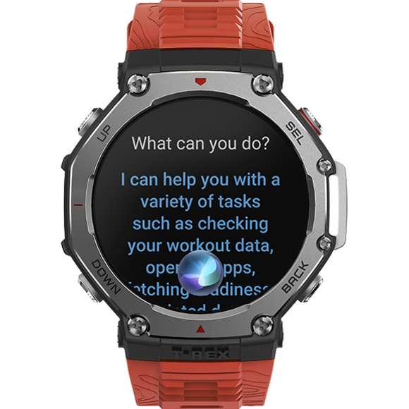 Ce este Zepp Flow™?