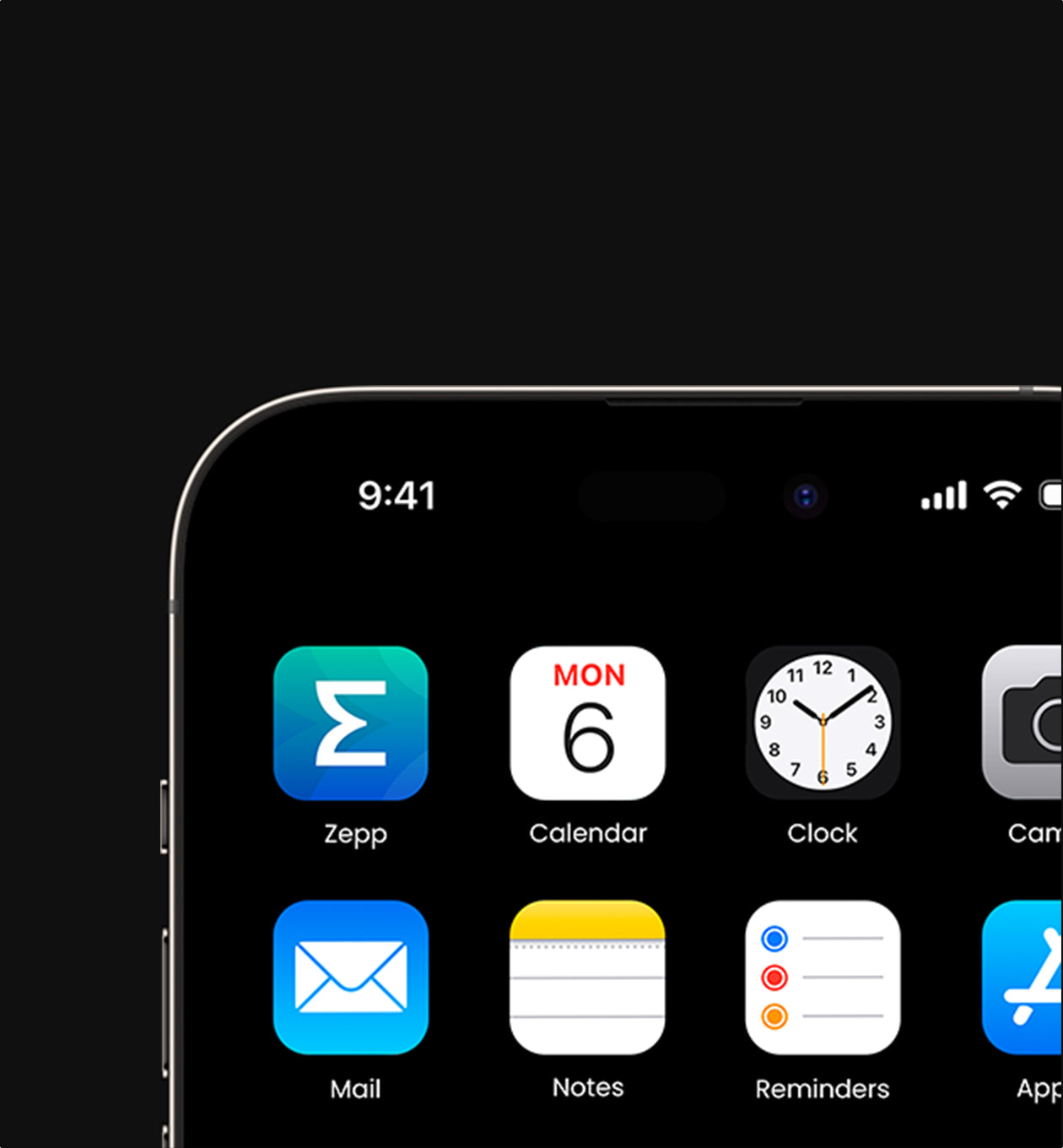 Conectează-te la Aplicația Zepp