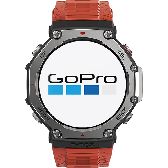 Camere de Acțiune¹⁷