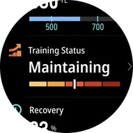 COROS APEX 4 training score