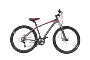 Bicicleta MOON Sprinter 29" gri 480 mm