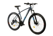 Bicicleta Mtb Afisport M3 - 29 inch, L, Gri