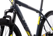 Bicicleta Mtb Terrana 2905 - 29 Inch, L, Gri