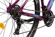 Bicicleta Mtb Terrana 2922 - 29 Inch S Violet