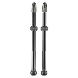 Ventil SCHWALBE Tubeless (Set) 100mm
