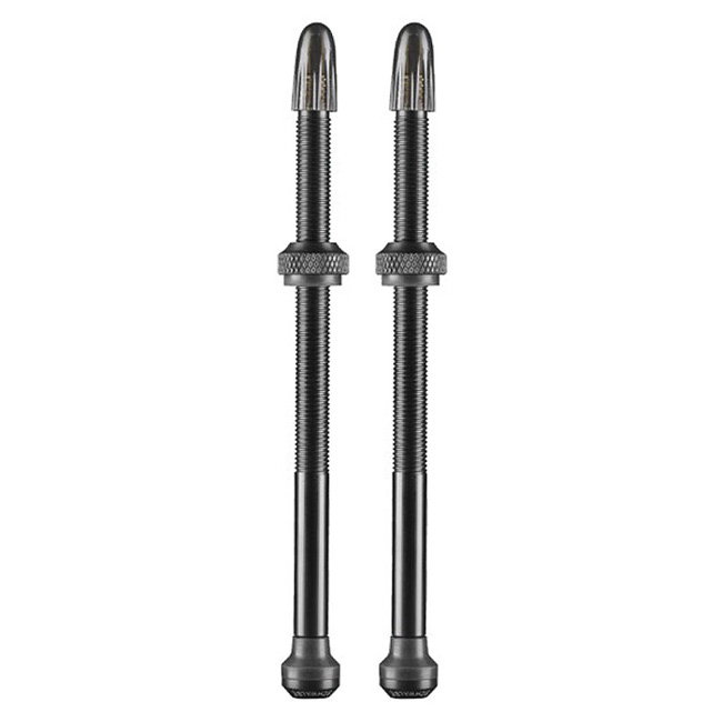 Bicycle Tubes Ventil SCHWALBE Tubeless (Set) 100mm