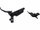 Frana SRAM Code RSC fata, Culoare: Black