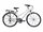 Bicicleta Adriatica Boxter HP 21V Donna alba 45 cm