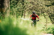 Merida Big.Nine 700 - bicicleta MTB hardtail XC 29" - verde Ever Green