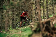 Merida Big.Nine 700 - bicicleta MTB hardtail XC 29" - verde Ever Green