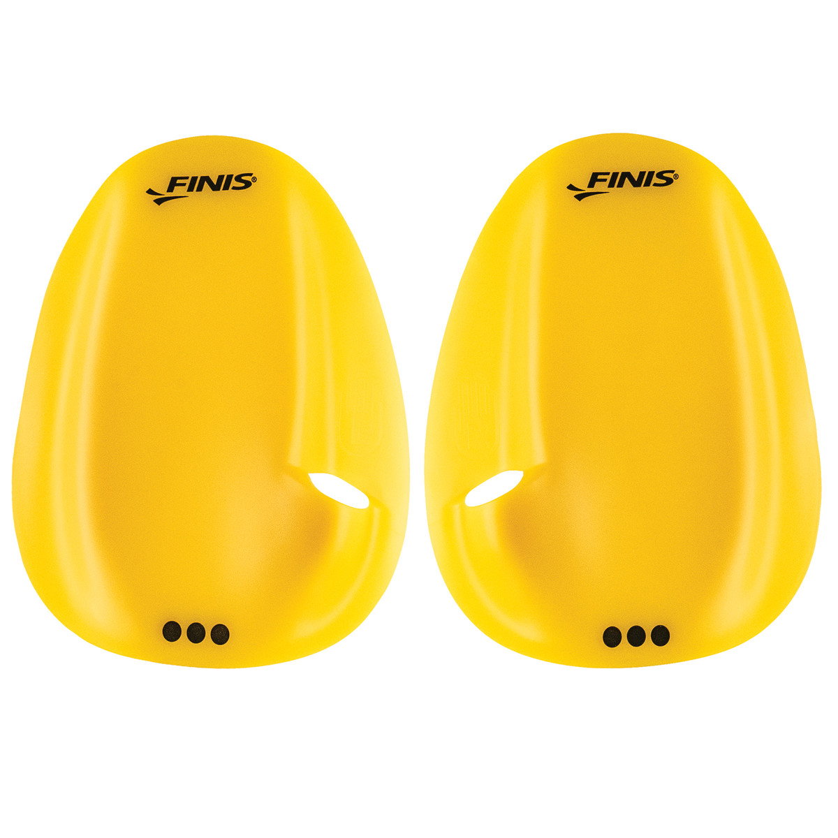 Finis Finis Agility palmare