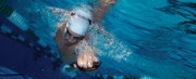Finis Instinct palmare
