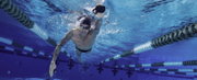 Finis Instinct palmare