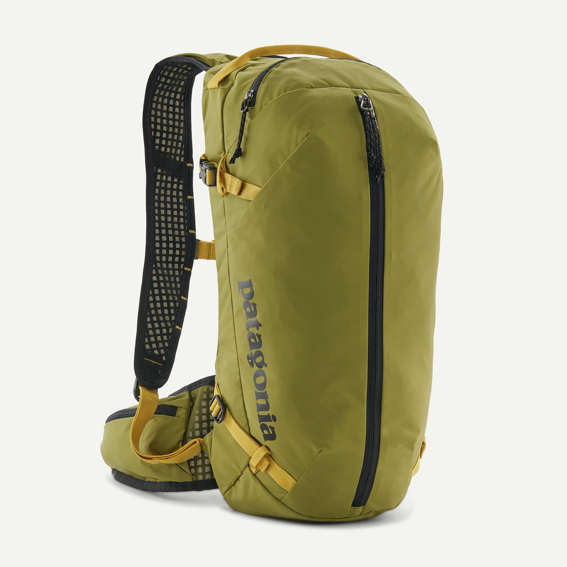 bideu stativ Patagonia - rucsac - Dirt Roamer - Verde