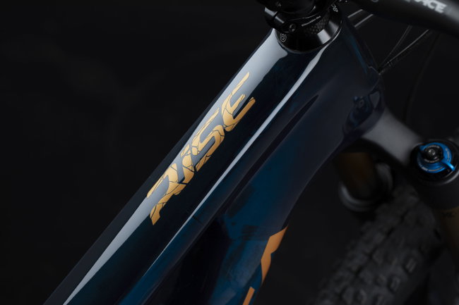 Orbea RISE M-TEAM - MyO custom - Dark Blue | Metallic Gold Sand