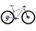 Bicicletă MTB XC hardtail Orbea ALMA M TEAM - Digital Lavender (Gloss) | Carbon Raw (Matt)