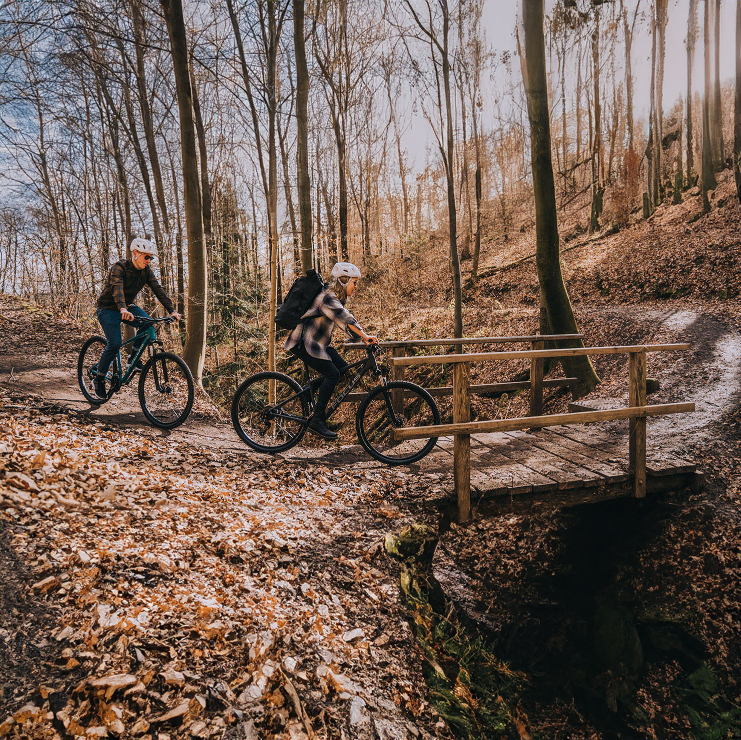 Focus Whistler 3.7 - bicicleta MTB hardtail 29