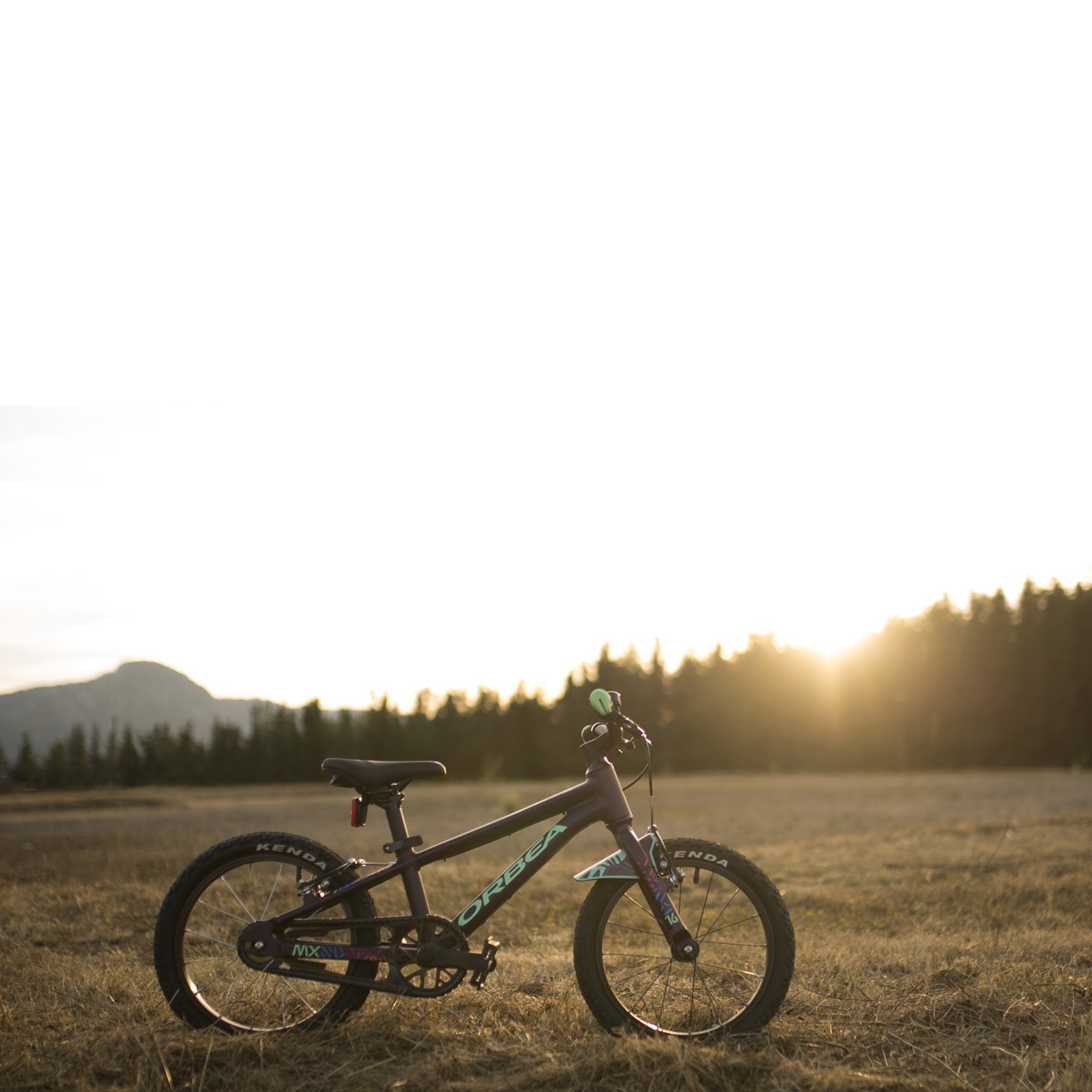Orbea - bicicleta copii MX 20 Team DISC - albastru - R00420KJ