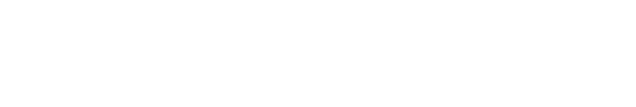 Lezyne - logo