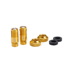 Capace valva BBB CoreCap aurii set 2 bucati
