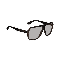 Ochelari Leatt TheViz Andes Brown Polarized Silver 34 VLT