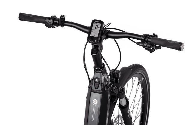 Bicicleta Electrica CREON E-Touring 12.8 Steps Gent