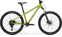 Merida Big.Seven 20 XXS Verde (Verdeargintiu)