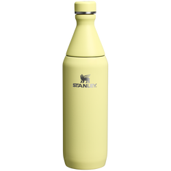 Sticlă termoizolantă Stanley All Day Slim Bottle 0.59L - Pomelo