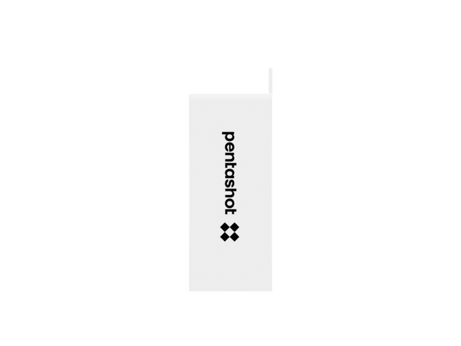 Țintă electronică Pentashot S-Box Connect - gri