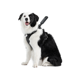 Ham de prindere pentru animale Insta360 - mărimea L