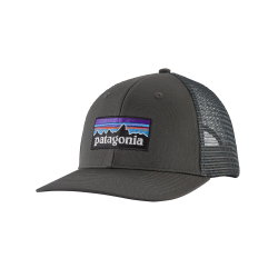 Șapcă Patagonia P-6 Logo Trucker Hat - albastru deschis
