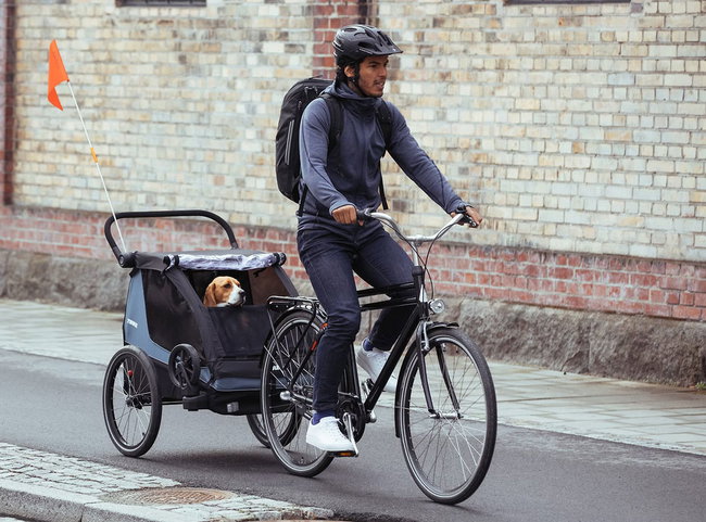 Accesoriu transport câine pentru Thule Courier - Kit cărucior câini