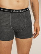 Boxeri Merino Icebreaker Anatomica - gri Gritstone Hthr/negru