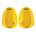 Finis Agility palmare