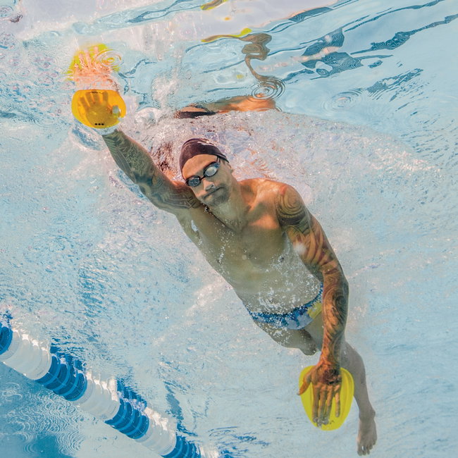 Finis Agility palmare