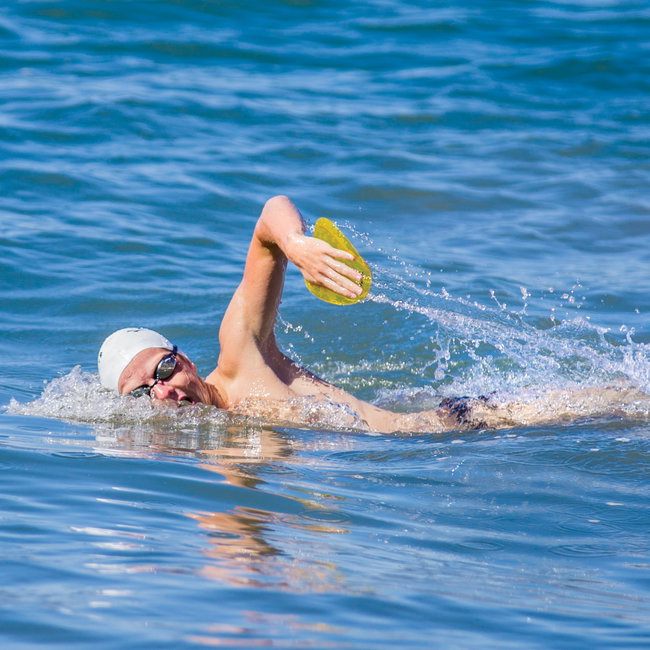 Finis Agility palmare