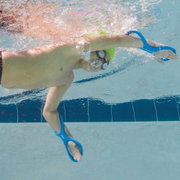 Finis Fulcrum Antebrat adulti