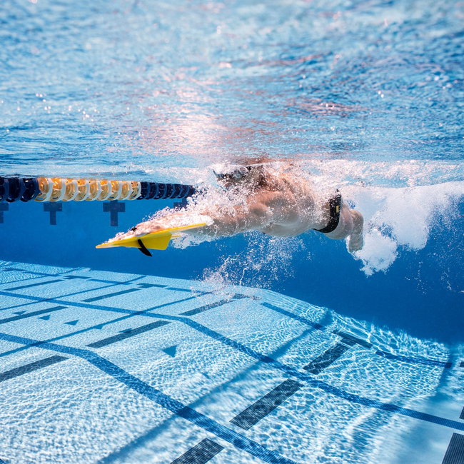 Finis Freestyler palmare