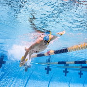 Finis Freestyler palmare