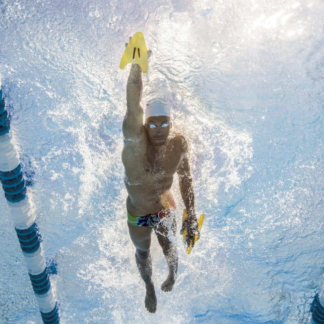 Finis Freestyler palmare
