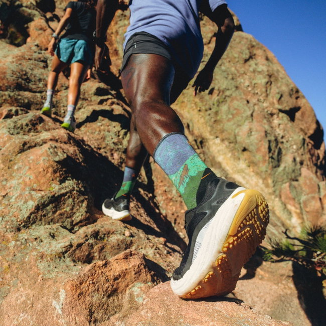 Smartwool - sosete merino - Trail Run Targeted Cushion Neature Print Crew Socks - Albastru/Verde