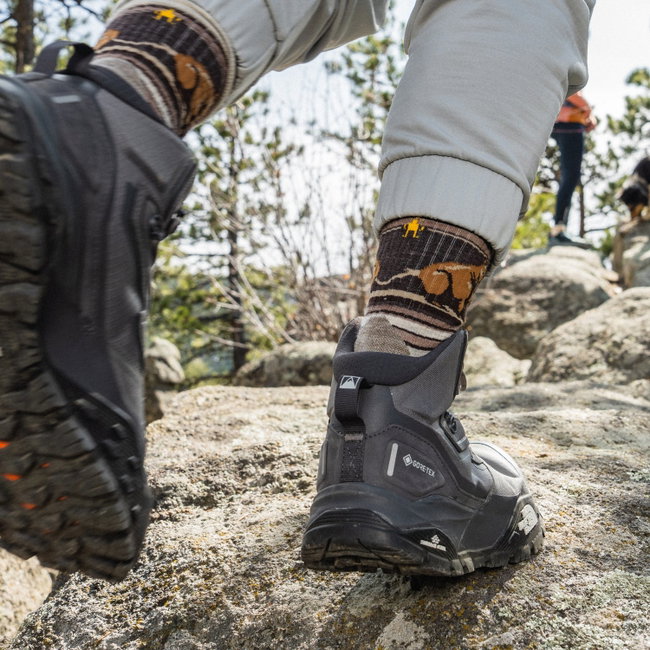 Șosete Merino hiking Smartwool Hike Bear Stripe - gri Ash | Mid Crew | Targeted Cushion