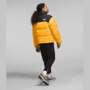 Geacă de puf The North Face 1996 Retro Nuptse - bărbați | izolație cu puf 700