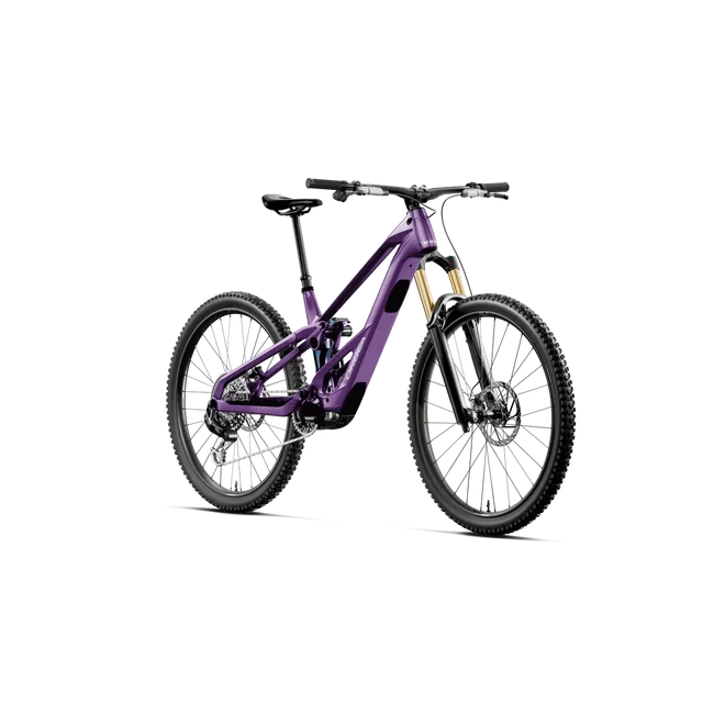 Orbea WILD LT M-TEAM RS Avinox M2S (2027) - bicicletă electrică eMTB Enduro - Royal Plum-Noctiluca C.View (Gloss)