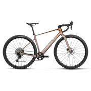 Orbea TERRA M30TEAM 1X (2027) - bicicletă gravel - Nickel (Matt) - Metallic Cinamon (Matt)