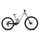 Orbea RALLON D-LTD (2027) - bicicletă MTB Downhill full suspension - White Chic - Diamond Black (Gloss)