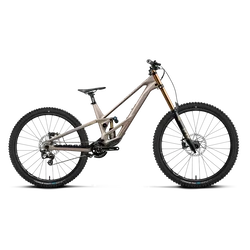 Orbea RALLON D-LTD (2027) - bicicletă MTB Downhill full suspension - Nickel (Matt) - Nickel Chrome (Gloss)