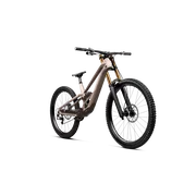 Orbea RALLON D-LTD (2027) - bicicletă MTB Downhill full suspension - Nickel (Matt) - Nickel Chrome (Gloss)