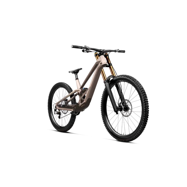Orbea RALLON D-LTD (2027) - bicicletă MTB Downhill full suspension - Nickel (Matt) - Nickel Chrome (Gloss)