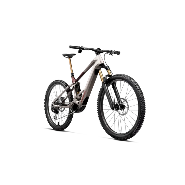 Orbea WILD TR M10 (2027) - bicicletă electrică eMTB Trail - Desert Rose (Matt) - Burning Ashes C. View (Gloss)
